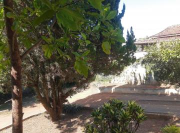 terreno-a-venda-1200m-piracangagua-taubate-sp1716912984344betou.jpg · Terreno à venda 1200M², Piracangaguá, Taubaté - SP