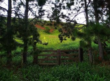 chacara-a-venda-30000m-zona-rural-silveiras-sp1716911445703dtnca.jpg · Chácara à venda 30000M², Zona Rural, Silveiras - SP