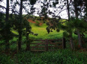 chacara-a-venda-30000m-zona-rural-silveiras-sp1716911445703dtnca.jpg · Chácara à venda 30000M², Zona Rural, Silveiras - SP