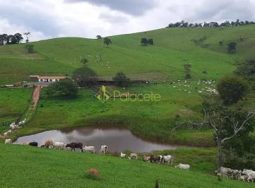 chacara-a-venda-1300000m-centro-sao-lourenco-mg1716911727914zkfam.jpg · Chácara à venda 1300000M², Centro, São Lourenço - MG