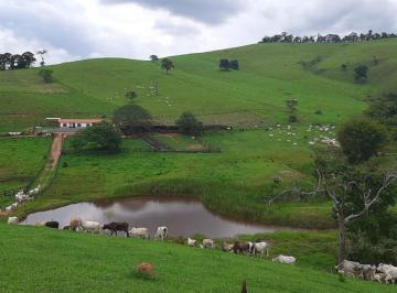 chacara-a-venda-1300000m-centro-sao-lourenco-mg1716911727914zkfam.jpg · Chácara à venda 1300000M², Centro, São Lourenço - MG