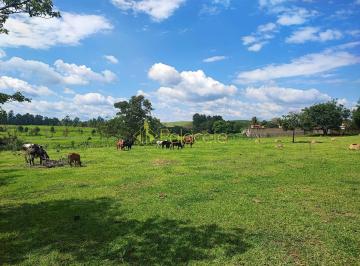 chacara-a-venda-2-quartos-37000m-figueira-guaratingueta-sp1716913172609ohlqb.jpg · Chácara à venda 2 Quartos, 37000M², Figueira, Guaratinguetá - SP