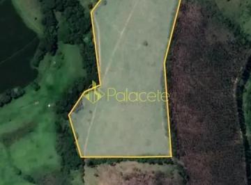 chacara-a-venda-170000m-zona-rural-soledade-de-minas-mg1716910946198hopln.jpg · Chácara à venda 170000M², Zona Rural, Soledade de Minas - MG