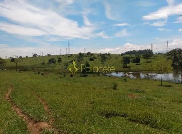 chacara-a-venda-121000m-parque-lago-azul-pindamonhangaba-sp1716910434726voyky.jpg · Chácara à venda 121000M², Parque Lago Azul, Pindamonhangaba - SP