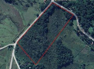 terreno-a-venda-64000m-barranco-alto-caraguatatuba-sp1716912069886cnhrl.jpg · Terreno à venda 64000M², Barranco Alto, Caraguatatuba - SP