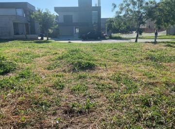terreno-a-venda-300m-parque-senhor-do-bonfim-taubate-sp-residencial-terrazzo-di-italia1716910714348csqmm.jpg · Terreno à venda 300M², Parque Senhor do Bonfim, Taubaté - SP Residencial Terrazzo Di Itália