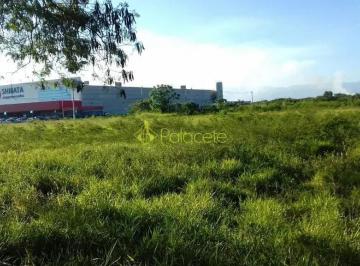 terreno-a-venda-300m-jardim-paraiba-aparecida-sp-jardim-sao-miguel1716915927527rbdkc.jpg · Terreno à venda 300M², Jardim Paraibá, Aparecida - SP  Jardim São Miguel