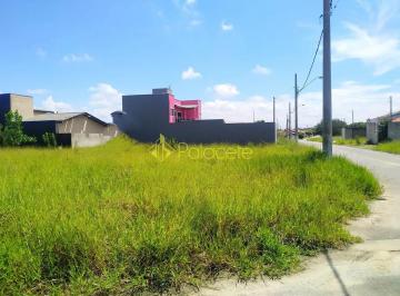 terreno-a-venda-185-11m-cesar-park-pindamonhangaba-sp1716911464238gttm.jpg · Terreno à venda 185.11M², Cesar Park, Pindamonhangaba - SP