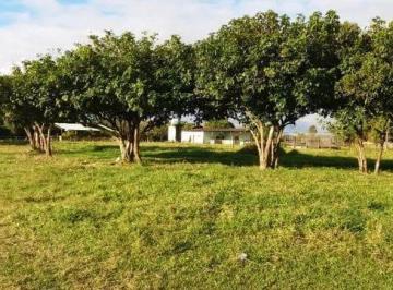 chacara-a-venda-94372-59m-aterrado-tremembe-sp1716909911027aoin.jpg · Chácara à venda 94372.59M², Aterrado, Tremembé - SP
