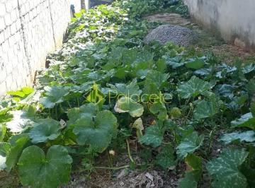 terreno-a-venda-125m-jardim-marlene-miranda-taubate-sp1716914553897gnwtt.jpg · Terreno à venda 125M², Jardim Marlene Miranda, Taubaté - SP