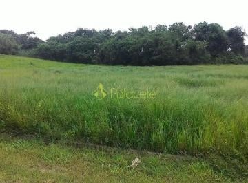 terreno-a-venda-296m-parque-sao-domingos-pindamonhangaba-sp1716914547544covra.jpg · Terreno à venda 296M², Parque São Domingos, Pindamonhangaba - SP