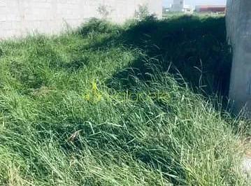 terreno-a-venda-150m-vila-areao-taubate-sp1716912803531nyedi.jpg · Terreno à venda 150M², Vila Areao, Taubaté - SP