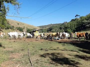 chacara-a-venda-484000m-cruz-pequena-pindamonhangaba-sp1716909852036cwbkp.jpg · Chácara à venda 484000M², Cruz Pequena, Pindamonhangaba - SP