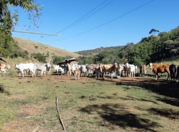 chacara-a-venda-484000m-cruz-pequena-pindamonhangaba-sp1716909852036cwbkp.jpg · Chácara à venda 484000M², Cruz Pequena, Pindamonhangaba - SP