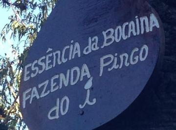 chacara-a-venda-726000m-bairro-dos-macacos-silveiras-sp1716912651386bmefi.jpg · Chácara à venda 726000M², Bairro dos Macacos, Silveiras - SP