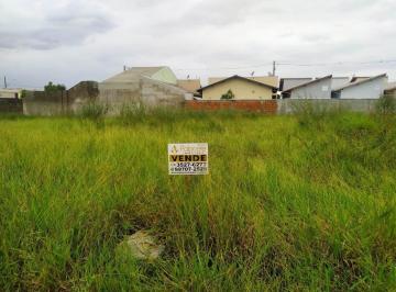 terreno-a-venda-375m-residencial-e-comercial-portal-dos-eucaliptos-pindamonhangaba-sp1716914040668vwjly.jpg · Terreno à venda 375M², Residencial e Comercial Portal dos Eucaliptos, Pindamonhangaba - SP
