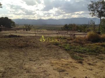 chacara-a-venda-6675m-quiririm-taubate-sp1716912040300sjwhp.jpg · Chácara à venda 6675M², Quiririm, Taubaté - SP