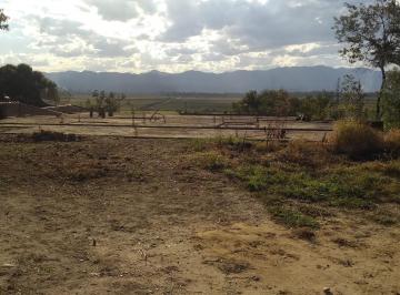 chacara-a-venda-6675m-quiririm-taubate-sp1716912040300sjwhp.jpg · Chácara à venda 6675M², Quiririm, Taubaté - SP