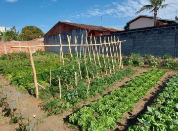 terreno-a-venda-270m-nossa-senhora-do-perpetuo-socorro-pindamonhangaba-sp1716914955653ahjax.jpg · Terreno à venda 270M², Nossa Senhora do Perpétuo Socorro, Pindamonhangaba - SP