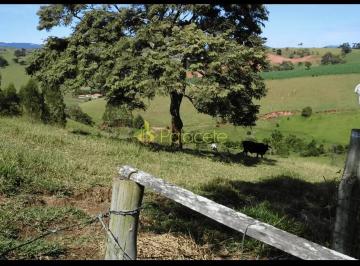 chacara-a-venda-30000m-zona-rural-cunha-sp1716911666005mblmk.jpg · Chácara à venda 30000M², Zona Rural, Cunha - SP