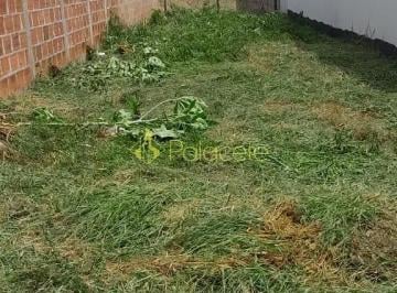 terreno-a-venda-125m-residencial-pasin-pindamonhangaba-sp1716916684835awfgg.jpg · Terreno à venda 125M², Residencial Pasin, Pindamonhangaba - SP