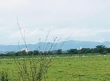 chacara-a-venda-20000m-cruz-pequena-pindamonhangaba-sp1716911065183xeygt.jpg · Chácara à venda 20000M², Cruz Pequena, Pindamonhangaba - SP