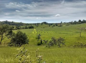 chacara-a-venda-400000m-barreiro-taubate-sp1716909787720kpdbb.jpg · Chácara à venda 400000M², Barreiro, Taubaté - SP