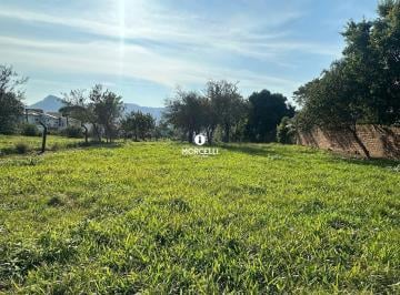 Terreno · 4400m² · Terreno Amplo em Camobi com 4400m² a venda