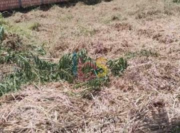 Terreno · 700m² · Vendo Excelente Terreno no Condomínio Fechado Próximo a Praia