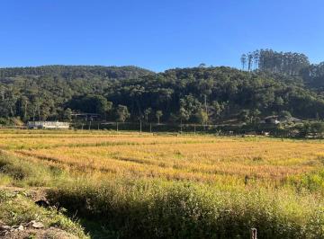 Terreno · 48000m² · Terreno Industrial/Comercial à venda em Ilhota – Bairro Baú Baixo