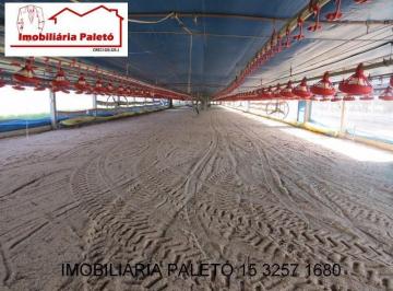Foto 01 · Sítio 217.800 m2 a venda na cidade de Porangaba, 4 barracões para 100 mil frangos