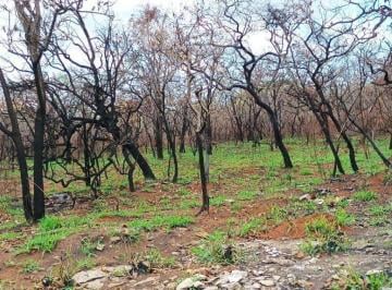 102369_10.jpg · Terreno à venda, 34000 m² por R$ 5.500.000,00 - Recanto da Lagoa - Lagoa Santa/MG