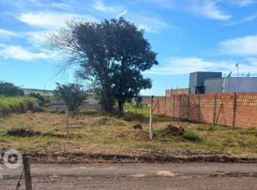 88d9ea2976b4b0ae6cf9b2b88c3deb80cdb83ef8 · Terreno à venda, 706 m² por R$ 199.000,00 - Quinta da Bela Olinda - Bauru/SP