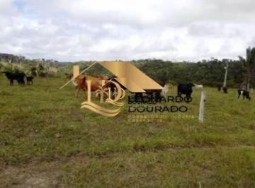 Foto 01 · Fazenda, Cabrália, Santa Cruz Cabrália, BA