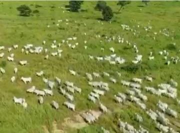 Rural , Alvorada do Norte · Vendo fazenda em Alvorada de Goiás 