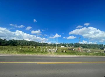 Foto 15 · Área à venda em Santo Antônio da Patrulha-RS, com 220.000m² (22 ha)