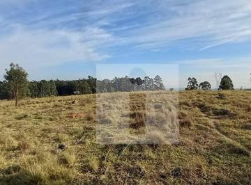 1184d5f842976ce4840975faa8a98540e29377e4 · Sítio à venda, 798600 m² por R$ 7.500.000,00 - Joaquim Egídio - Campinas/SP
