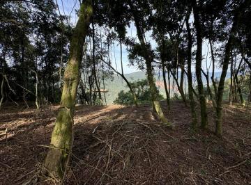 Rural , Nova Petrópolis · Sítio À Venda Com Linda Vista Em Nova Petrópolis