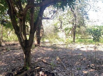 Rural , São José de Ribamar · Vendo sítio na estrada da praia de Boa Viagem 