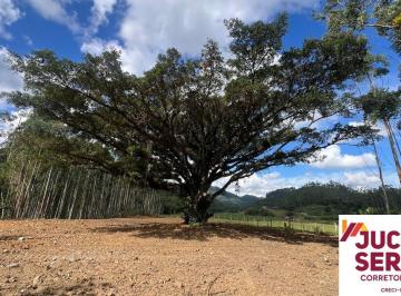 Foto 18 · TERRENO RURAL COM ÁREA DE FESTAS E UMA LINDA FIGUEIRA