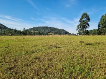 Rural , Nova Hartz · Sítio na Cidade de Nova Hartz/RS na Localidade de Campo Vicente