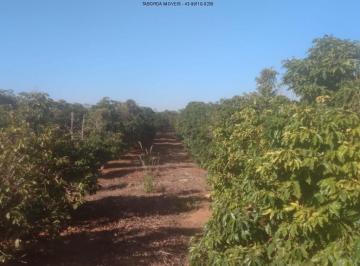 Foto 07 · Sítio - Ribeirão Claro