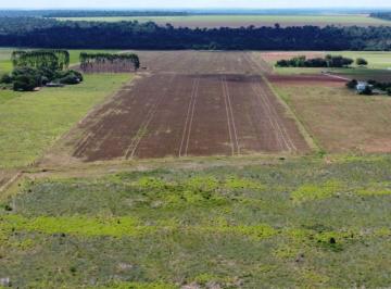 Rural · 1m² · 1 Quarto · CHÁCARA À VENDA, FUNDOS COM BR 163, PRÓXIMO AO ASFALTO, 72600 M² - SINOP/MT