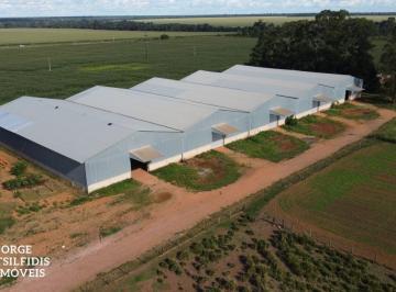 Comercial · 6000m² · GALPÃO PARA LOCAÇÃO SINOP - CAMPING CLUB