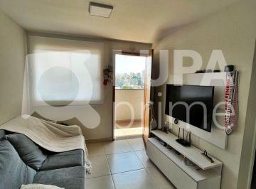 Apartamento · 44m² · 2 Quartos · 1 Vaga · APARTAMENTO COM 2 QUARTOS E 1 VAGA PARA VENDA, PARDA INGLESA, SÃO PAULO