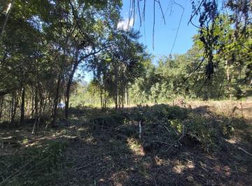 Rural , Taquara · Sítio em Taquara/RS na Localidade de Santa Cruz da Concórdia