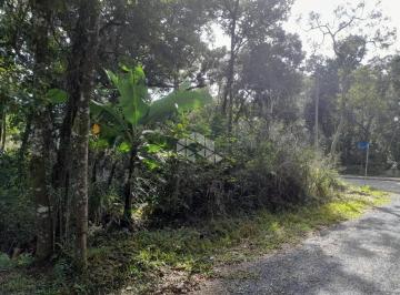 602901_itYeV_6029016671ba6ceae32.jpg · Terreno em Canto Grande/Mariscal Bombinhas  SC