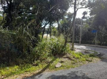 602873_iM8VZ1Mvs4_6028736671a5adb9a6d.jpg · Terreno em Mariscal Bombinhas SC