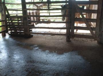 Rural · 32ha · Fazenda de 32 há em Curvelo. Terra boa pra cultivo