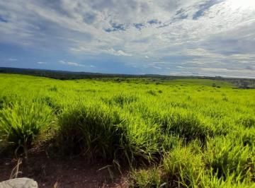 Rural · 135ha · Fazenda na região de Curvelo 135 hectares toda formada em pastos Curral